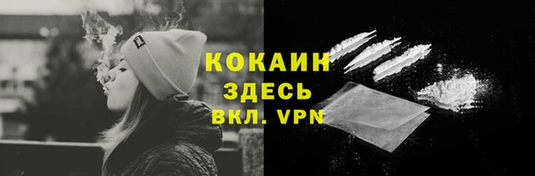 твердый Бородино