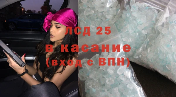 твердый Бородино