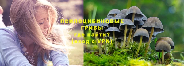 эйфоретик Богородицк